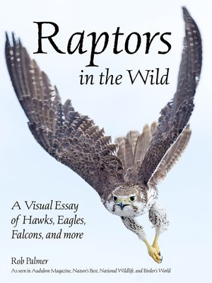cover image of Raptors in the Wild
